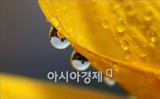 입추. 사진=아시아경제 DB