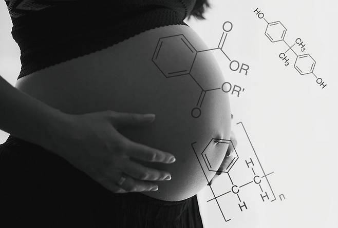 환경호르몬은 대물림된다. 반드시 다음 세대가 아니더라도 격세유전처럼 한 세대를 건너뛴 후에도 그 악영향이 나타난다는 사실이 시사저널 취재 과정에서 밝혀졌다.