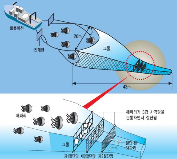 해파리 절단망을 활용한 해파리 방제 개념도 (출처=해양수산부 자료)
