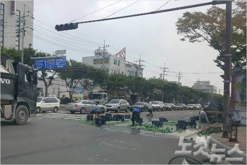 (사진=포항CBS 독자 제공)