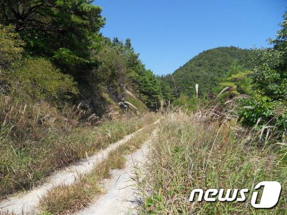 황금구만냥길(한국관광공사 제공) © News1