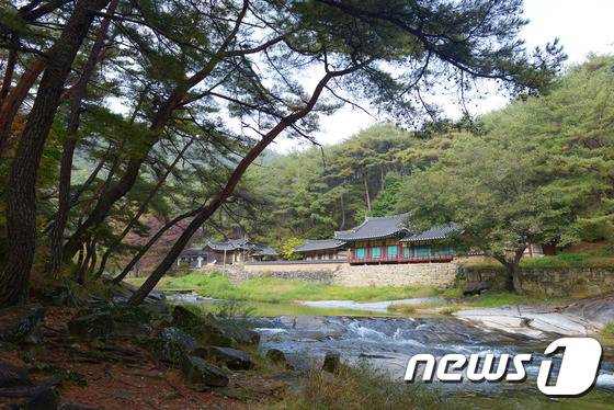 봉화솔숲갈래길(한국관광공사 제공) © News1