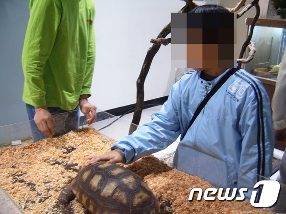체험관에서 '파충류 만져보기 체험'을 하고 있는 아이. (사진 최혁준)© News1