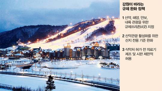 강원도는 평창동계올림픽과 연계한 산악관광을 활성화해 강원도를 ‘한국의 융프라우’로 만들겠다는 목표를 제시했다. 사진 은 평창동계올림픽이 열리게 될 대관령의 알펜시아 리조트. (사진=동아DB)