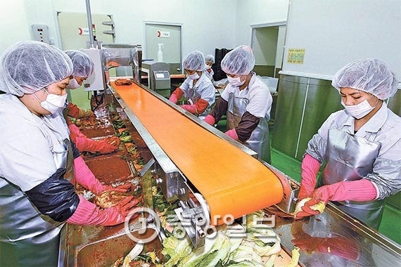 한 김치 공장 컨베이어벨트에서 종업원들이 김치를 대량으로 만들고 있다. [중앙포토]