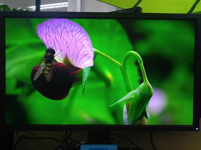 벤큐 조위 XL2735의 색감