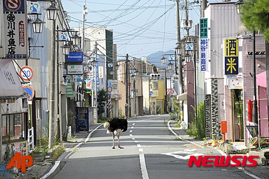 원전 폭발 후 유령마을이 된 후쿠시마의 한 마을