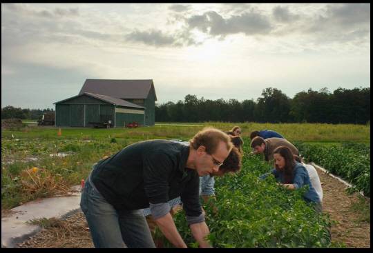저자인 댄 바버가 자신의 농장에서 식재료를 수확하고 있다. 글항아리 제공