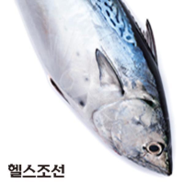 [헬스조선]고등어·꽁치 등 등 푸른 생선은 뇌에 좋은 음식으로 꼽힌다.