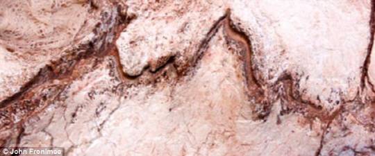 지그재그 모양의 스피노포로사우르스 니제르엔시스의 등뼈 화석. 지그재그 모양의 뼈가 퍼즐 조각처럼 맞춰져 있어 다른 뼈가 빠져 나가지 못하게 했으며 접촉면을 늘려서 힘을 분산시키는 효과가 있었다. /사진=데일리메일