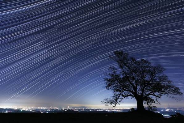 사진 : 유광현 씨 제공 (블로그 http://blog.naver.com/twimnets)