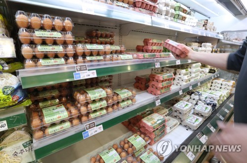 지난 19일 서울 시내 한 대형마트에서 한 고객이 계란을 고르고 있는 모습[연합뉴스 자료사진]