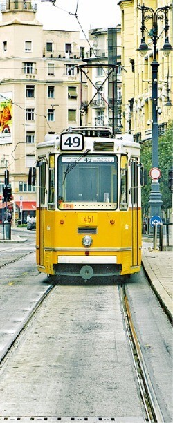 부다페스트 곳곳을 누비는 노란색 트램
