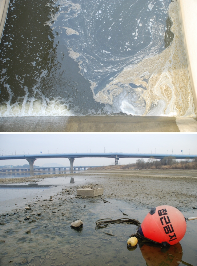 백제보 수문의 오염된 강물(위쪽). 세종보 인근 강바닥에 각종 시설물들이 널브러져 있다. 김종술 제공