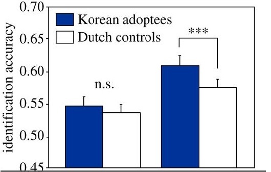 한국에서 태어난 네덜란드 원어민의 한국어 식별 능력이 훨씬 좋았다. 횟수를 거듭할수록 차이가 커졌다. 연구논문에서 재인용.