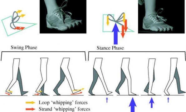 실험에서는 한 연구원이 트레드밀(러닝머신)을 달리는 동안 신발끈이 풀려가는 모습을 슈퍼 슬로모션 영상 기법으로 촬영했다. 그러자 완전한 상태의 매듭에 두 개의 강한 힘이 작용하는 것이 포착됐다.