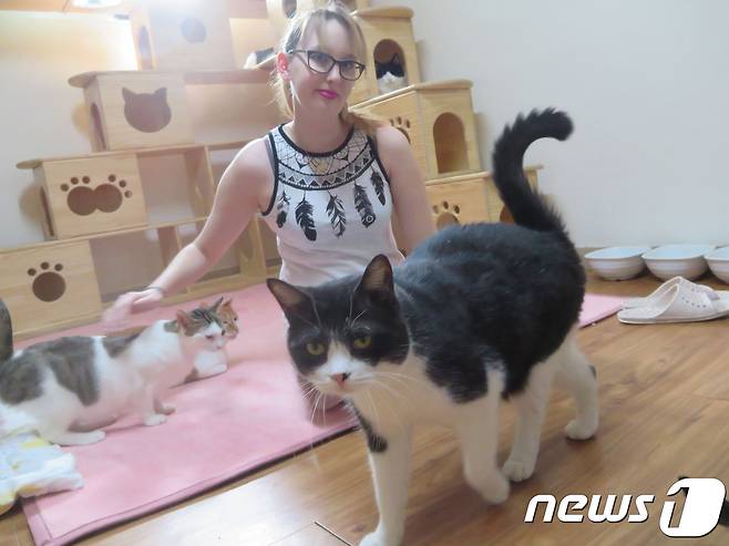 프랑스 출신으로 숙명여대 어학당에서 한국어 공부중인 쥐스틴은 매주 사단법인 나비야사랑해 보호소를 찾아와 고양이들과 함께 지내며 청소 등 봉사활동을 하고 있다.© News1