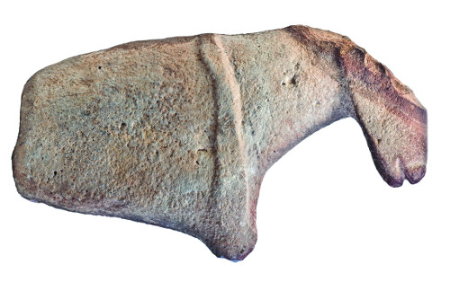 아라비아반도에서 출토된 말 모양의 석상(기원전 8810년경). 말 목 부위의 굴레 형태는 말을 사육한 증거다. 말의 가축화가 5500년 전 중앙아시아 카자흐스탄에서 처음 시작됐다는 기존 학설을 뒤집는 자료로 평가받는다. 사우디 국립박물관 소장