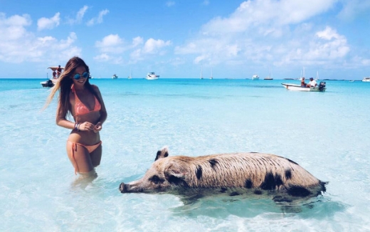 바하마 제도의 돼지섬에서 돼지와 함께 있는 마렌. (사진=인스타그램 캡처)