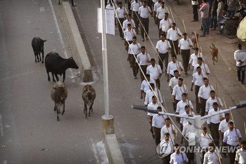 지난 3월 인도 알라하바드에서 힌두 강경조직인 민족봉사단(RSS) 회원들이 행진하는 가운데 소들이 그 옆을 지나고 있다.[AP=연합뉴스 자료사진]