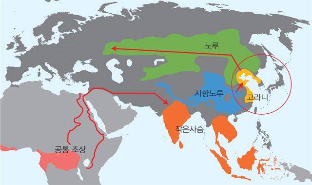 빙하기 한반도는 많은 동물들의 피난처 역할을 했다. 아프리카에서 인도를 거쳐 한반도로 넘어 온 사슴은 뿔 대신 송곳니를 가진 고라니로 적응했다. 고라니의 분화, 이동 과정. 국립생태원 제공