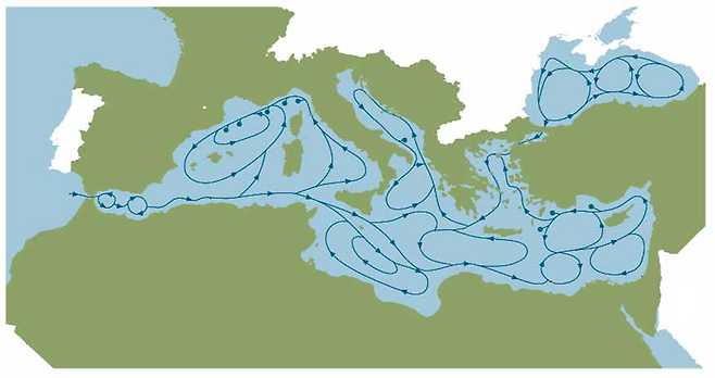 2000년대 초를 기준으로 측정한 지중해의 해류. 현재 온난기여서 대서양에서 지중해 안쪽으로 들어오는 방향을 중심으로 흐르고 있으며, 한랭기엔 이 반대 방향의 해류가 형성된다. ⓒ Tomczak & Godfrey