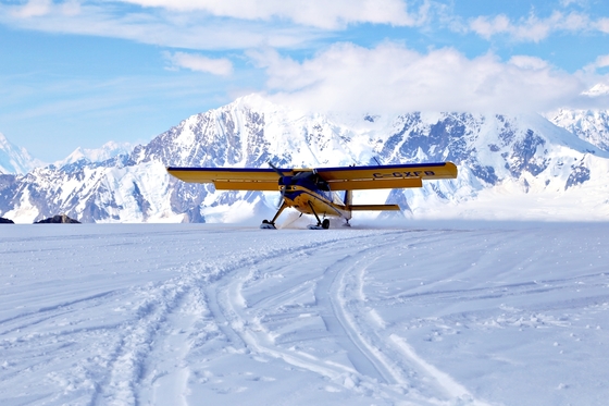 경비행기를 타고 빙하기를 방불케 하는 유콘의 풍경 한가운데에 착륙했다.