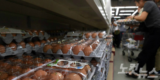 농식품부가 적합판정을 받은 241개 농가 계란을 정상유통 한다고 밝힌 16일 오후 서울 양재동 농협 하나로클럽에서 시민들이 계란을 고르고 있다. (사진=황진환 기자)