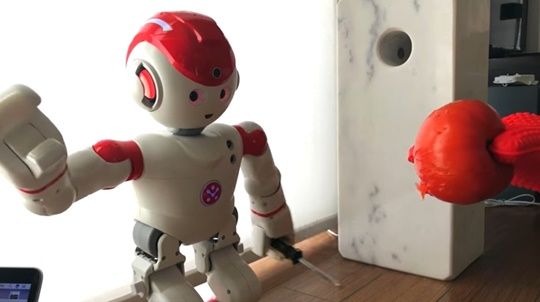 해킹한 가정용로봇 알파2가 토마토를 찌르는 모습 (사진=유튜브 영상캡쳐)