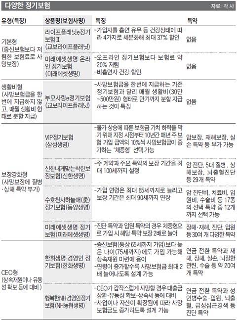 생활비형, CEO형.. 정기보험이 다양해졌다
