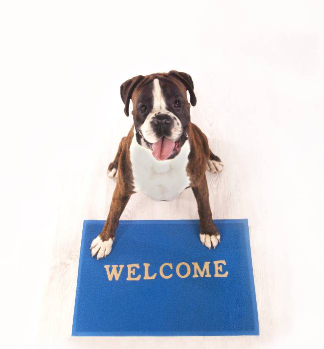 [사진=게티이미지뱅크]