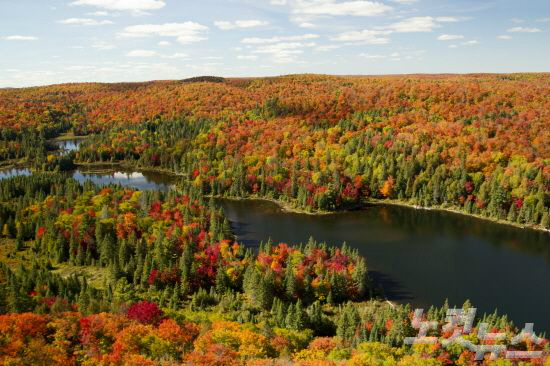 단풍의 나라 캐나다는 가을이 오면 울긋불긋 아름다운 단풍의 물결에 휩쓸린다. (사진=웹투어 제공)