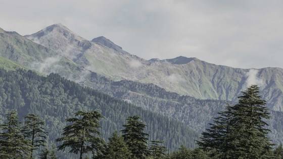 인도의 스위스로 통하는 마날리. 히말라야 산맥 고봉에 둘려 시원한 여름을 보낼 수 있는 여행지다.