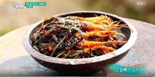 순천 고들빼기 김치. [사진=kbs화면 캡쳐]