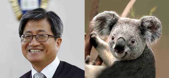 행동이 느리고 힘도 약하지만 귀한 인물이 되고 존경을 받는다. [사진 백재권]