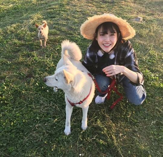 사진=JTBC '효리네 민박'