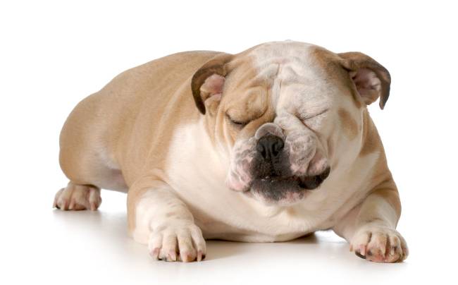 [사진=게티이미지뱅크]