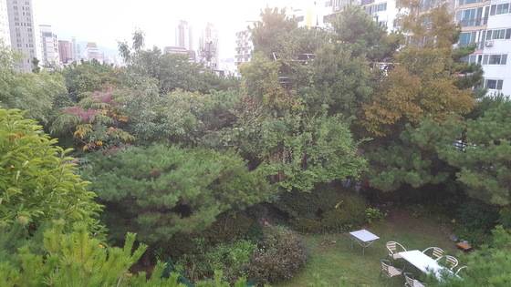 울산 구암문구 삼산본점 옥상에 있는 옥상정원 숲. 태양열온수기와 폐수재활용 장치 등 친환경 설비를 갖췄다. 새와 닭이 산다. 최은경 기자