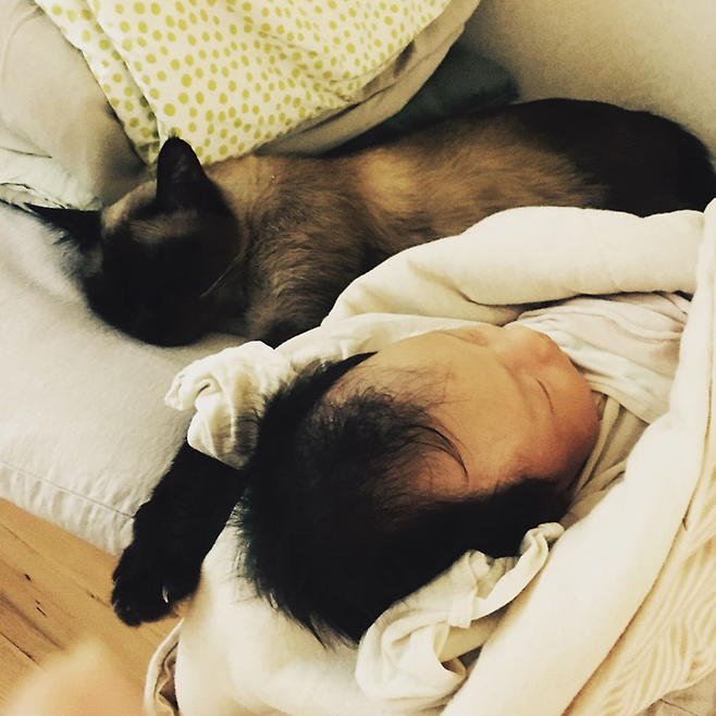 태어난 지 두 달 된 조카와 좋은 ‘낮잠 동료’가 된 고양이 탱고. © 사진=김경민 제공​