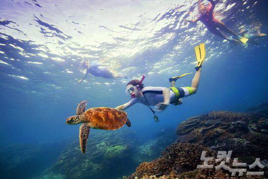 그레이트 배리어 리프를 아름답게 꾸며주는 놀라운 해양 생물과 이국적인 산호초 색상은 세계 어디에서도 볼 수 없는 장관을 자랑한다. (사진=호주관광청 제공)