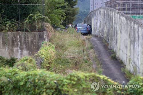 [연합뉴스 자료사진]