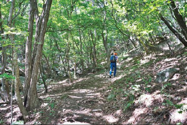 [월간산]가야산 동쪽 기슭의 숲길.