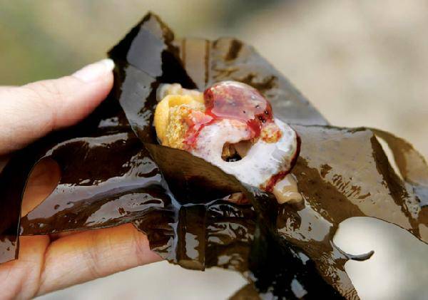 [월간산]싱싱한 미역에 오도독 씹히는 맛이 일품인 해삼과 고소한 성게알을 올려 싸먹으면 산해진미가 따로 없다.