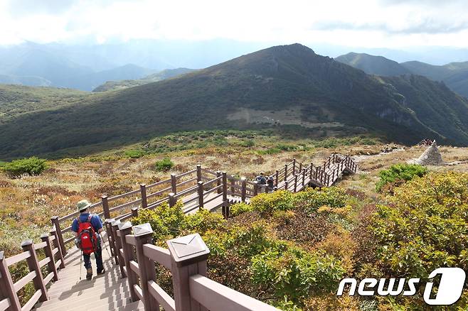 관광공사의 11월 추천 여행지, 밀양 사자평 고산습지 © News1