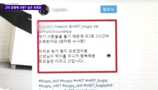 최씨 SNS에는 과거 '개가 사람을 물어 주 1회 1시간씩 교육받는다'는 내용의 글이 올라온 바 있다. 현재는 삭제된 상태. [사진 JTBC 방송 캡처]