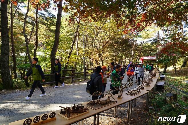 28일 충북 괴산 연풍새재에서 열린 '2017 연풍새재 옛길 문화행사' 참가자들이 복원된 황톳길을  걷고 있다. (충북도 제공) © News1