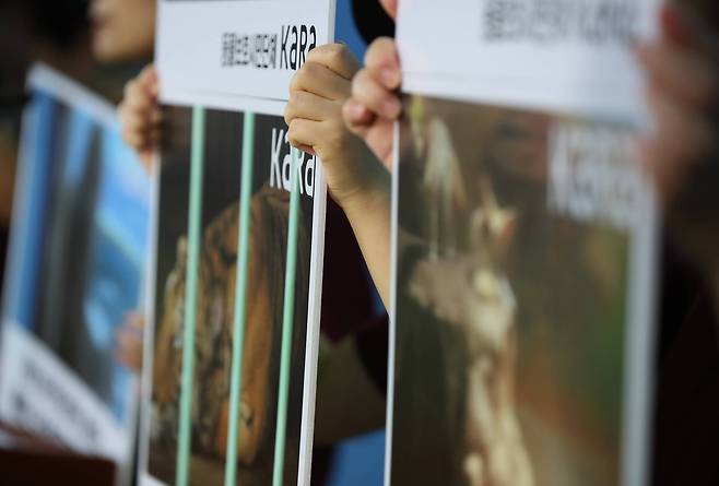 동물보호단체 '카라' 관계자들이 지난 8월 16일 오전 국회 정론관에서 기자회견을 열고 전시동물원에서 벗어나 동물들의 처우 개선을 위한 생태동물원을 통해 인간과 동물들의 공존과 상호존중 풍토 조성을 촉구했다.[연합뉴스]