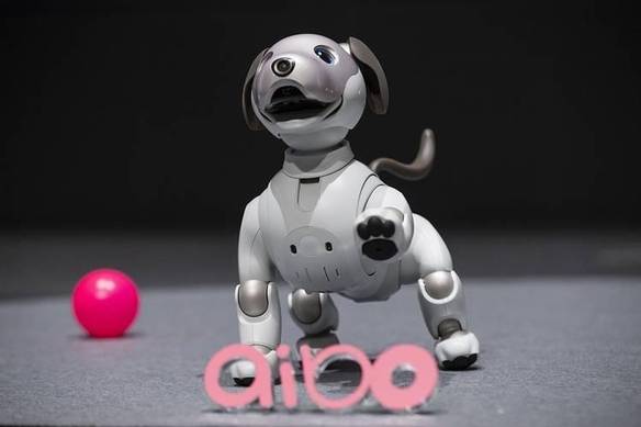 소니의 인공지능 로봇 강아지 아이보 / 블룸버그 제공.