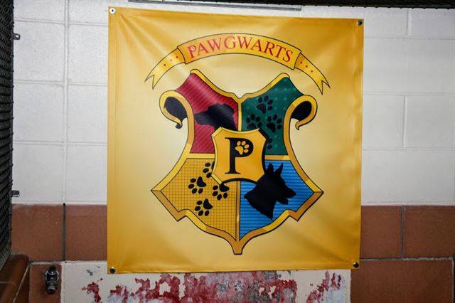 포그와트 학생이 되려면, 기숙사 배정 의식을 거쳐야 한다.