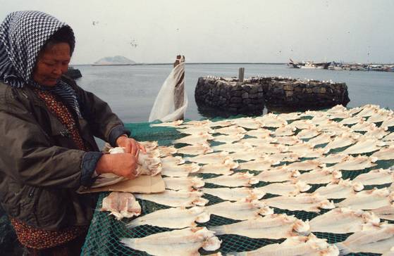 제주도 어촌에서 옥돔을 말리는 모습. [중앙포토]